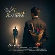 دانلود آهنگ جدید رضا نیک فرجام نمک نشناس
